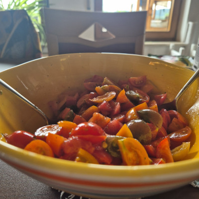 Tomaten frisch aus dem Garten