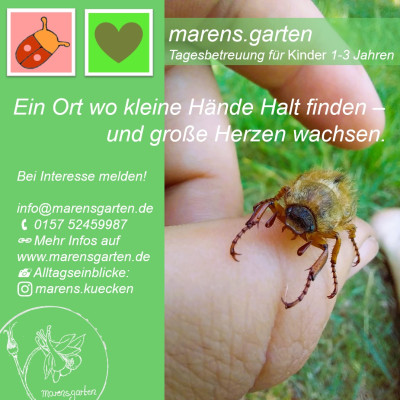 Insekten begegnen