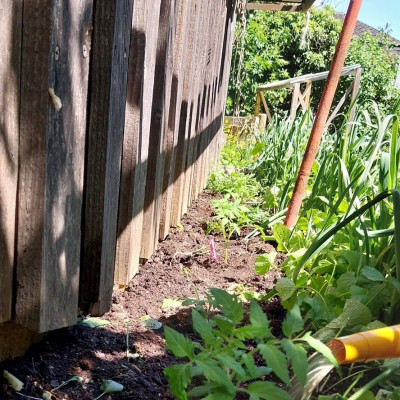 Garten entdecken